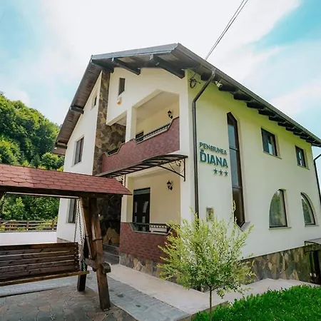 Pensiunea Diana-3