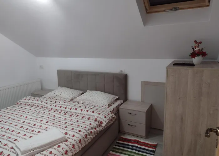 Casa Ivascu Moisei Hotel